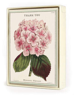 Note Cards - Thank You