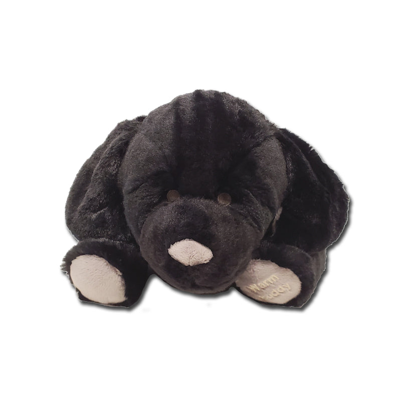 Labrador - Black